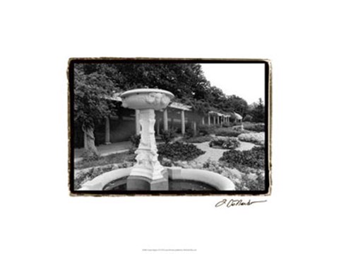 Framed Garden Elegance II Print