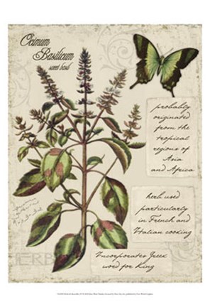 Framed Herbs &amp; Butterflies IV Print
