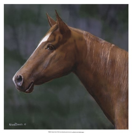 Framed Quarter Horse Print