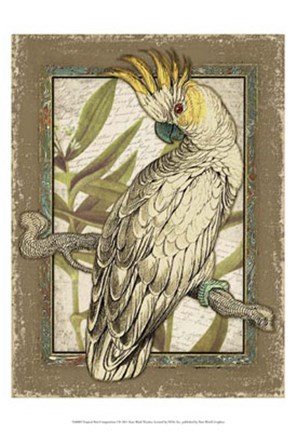 Framed Tropical Bird Composition I Print