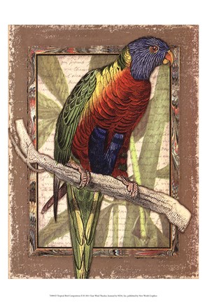 Framed Tropical Bird Composition II Print