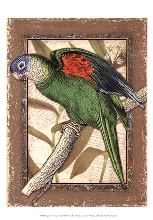 Framed Tropical Bird Composition III Print