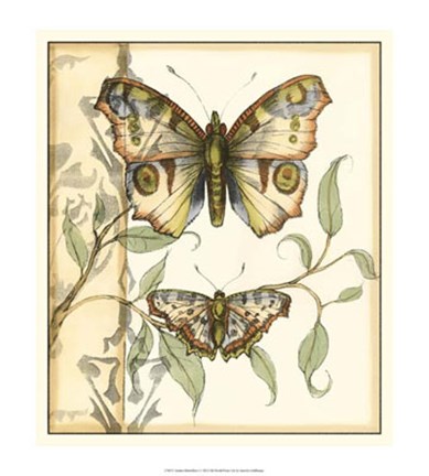 Framed Tandem Butterflies I Print