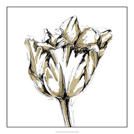 Framed Tulip Sketch I Print