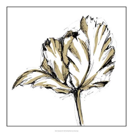 Framed Tulip Sketch III Print