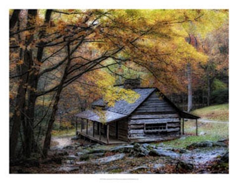 Framed Damp Autumn Day Print