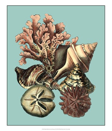 Framed Printed Shell &amp; Coral Collection II Print