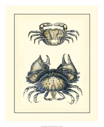 Framed Antique Blue Crabs I Print