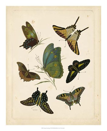 Framed Antique Entomology I Print