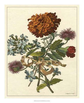 Framed Floral Posy III Print
