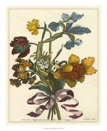 Framed Floral Posy IV Print