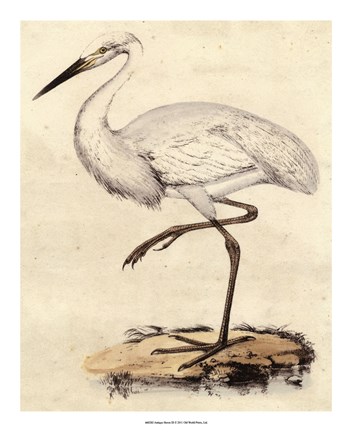 Framed Antique Heron III Print