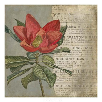 Framed Vintage Fleur Rouge I Print