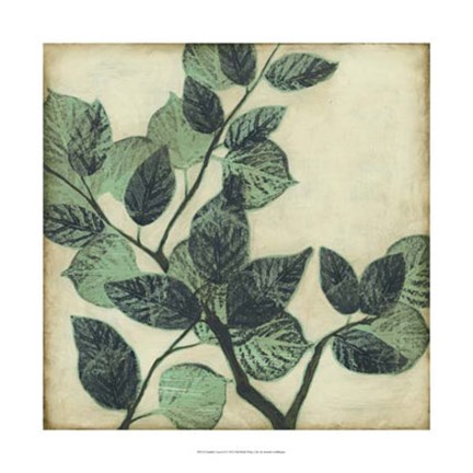 Framed Graphic Leaves II Print