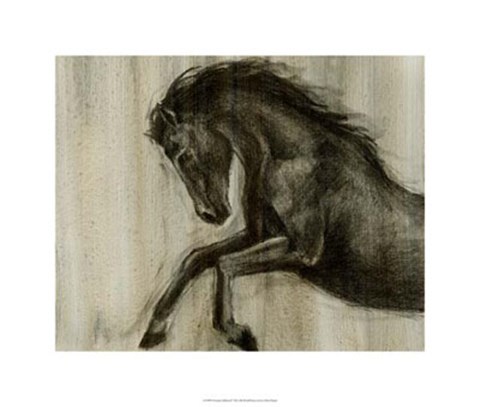 Framed Dynamic Stallion II Print