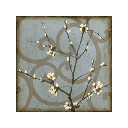 Framed Blossom Branch II Print