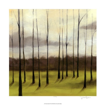 Framed Sunlit Treeline II Print