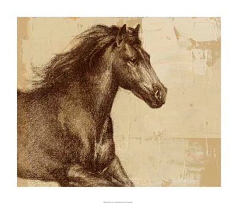 Framed Majestic Horse I Print