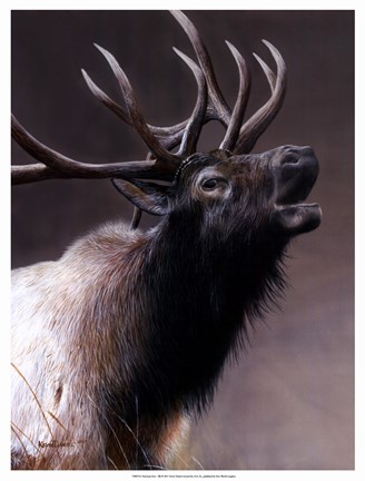 Framed American Icon- Elk Print
