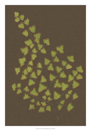 Framed Ferns on Linen III Print