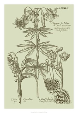 Framed Garden of Flora IV Print