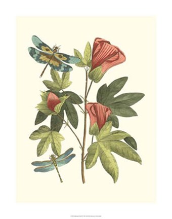 Framed Midsummer Floral III Print