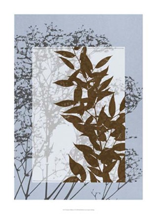Framed Translucent Wildflowers VI Print