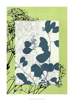 Framed Translucent Wildflowers VIII Print