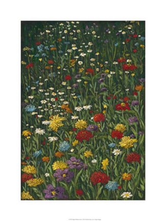 Framed Bright Wildflower Field I Print