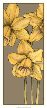 Framed Graphic Flower Panel IV Print