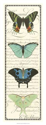 Framed Butterfly Prose Panel II Print