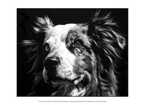 Framed Canine Scratchboard XX Print