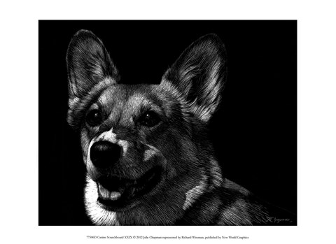 Framed Canine Scratchboard XXIX Print