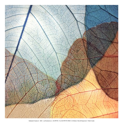 Framed Blue and Orange Leaves II Print