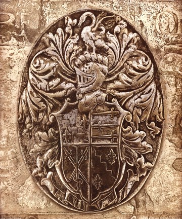 Framed Coat of Arms II Print