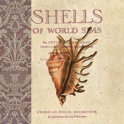 Framed Shells of the World Print
