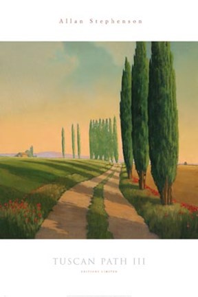 Framed Tuscan Path III Print