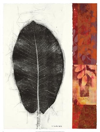 Framed Leaf Study II Print