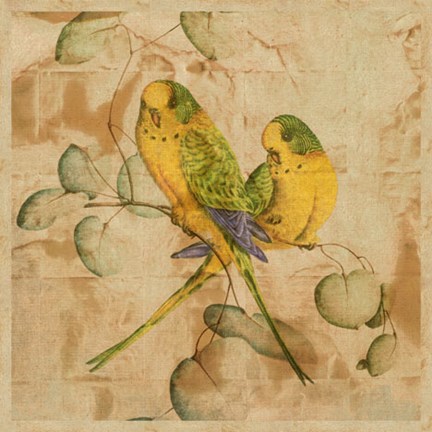 Framed Songbirds I Print