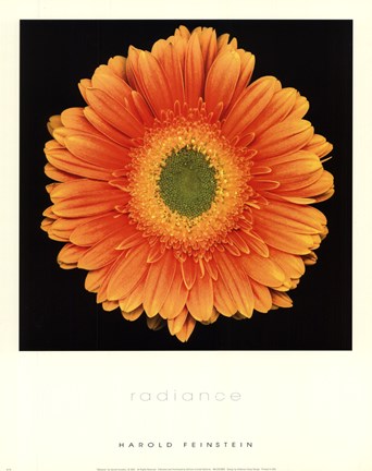 Framed Radiance Print