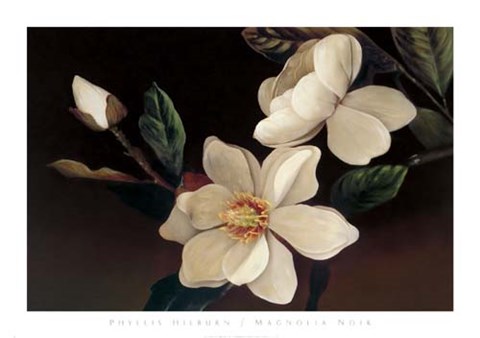 Framed Magnolia Noir Print