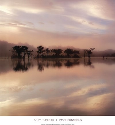 Framed Dawn Mist On The Amazon Print