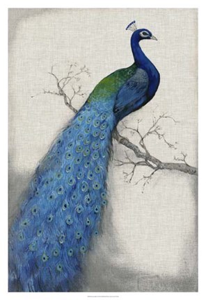 Framed Peacock Blue I Print