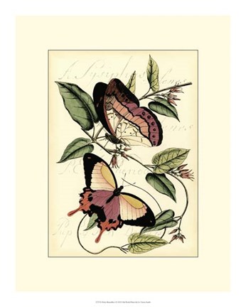 Framed Petite Butterflies I Print