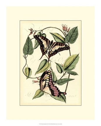 Framed Petite Butterflies II Print