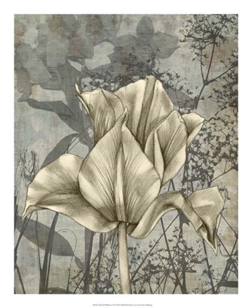 Framed Tulip &amp; Wildflowers IV Print