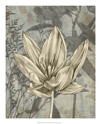 Framed Tulip &amp; Wildflowers VI Print