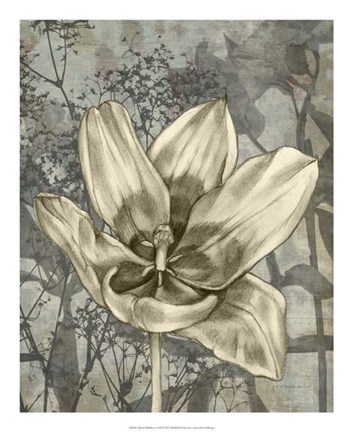 Framed Tulip &amp; Wildflowers VIII Print