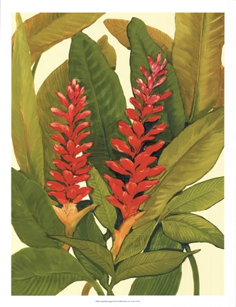 Framed Tropical Red Ginger Print