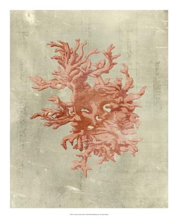 Framed Coral in Terra Cotta Print